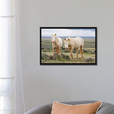« wild palomino chevaux roaming the prairie », reproduction de photo sur toile