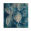 Minimalism Azure Leaves Harmony I - Leaves  Wood Print - On Natural Pine Wood-213828927