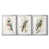 Argent argent