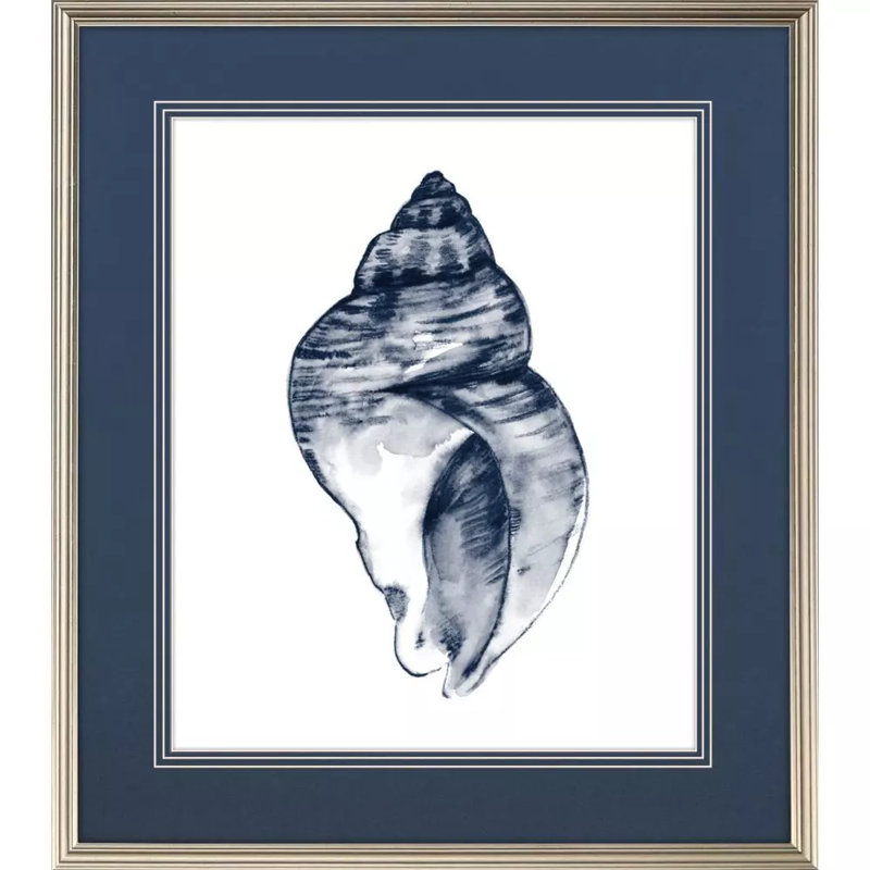 Quiet Conch Set by Caroline