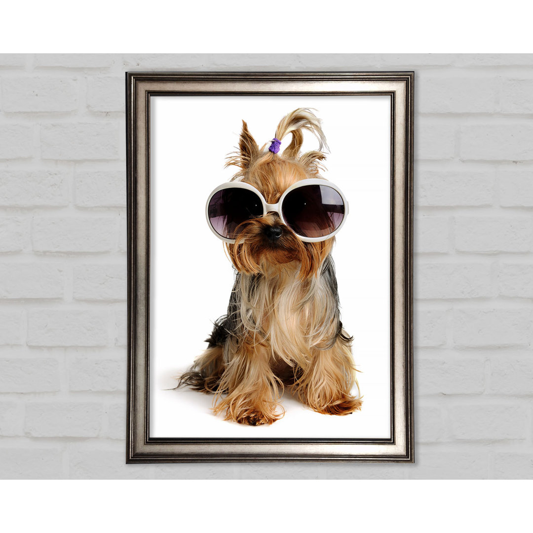 Gerahmtes Leinwandbild Yorkshire Terrier Dog Glamour