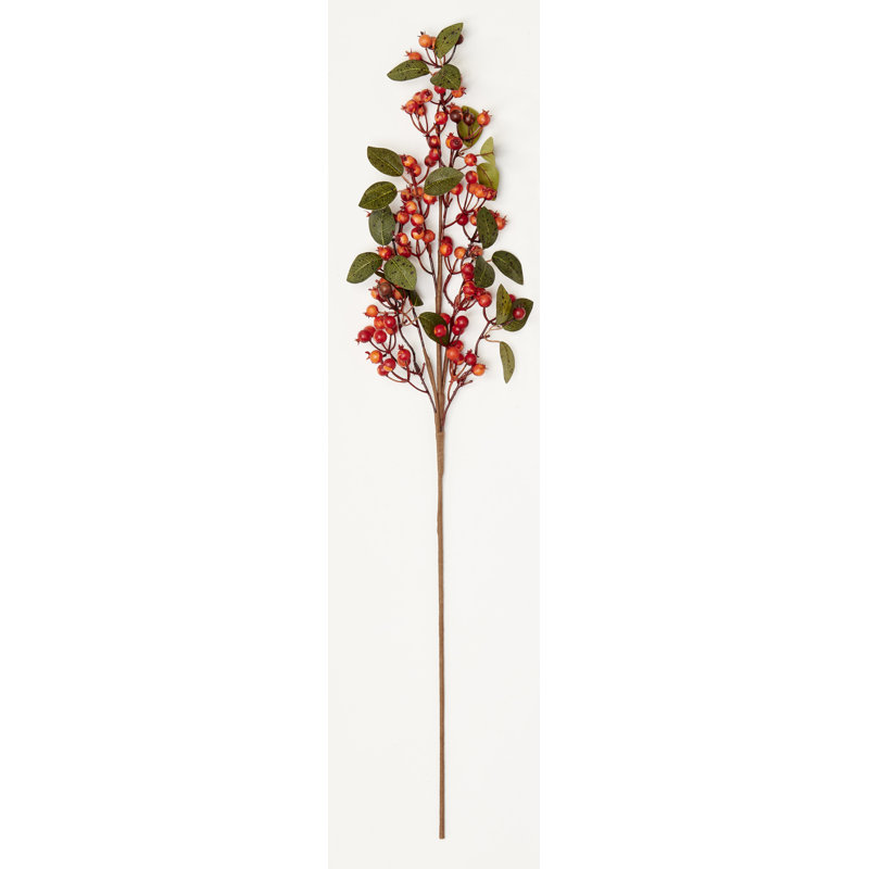 Vaporisateur 31 "baies d'automne, Rouge/orange