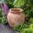 Kameera Pot Planter-1342208164