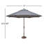 Bigelow 132'' Outdoor Umbrella with lights-898504016