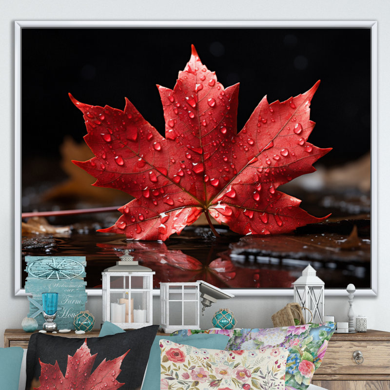 Canada Canada Pride III, Blanc, H 12 po x l 20 po x P 1 po