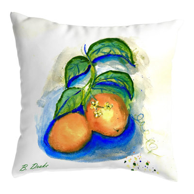  Outdoor Square Pillow Cover & Insert