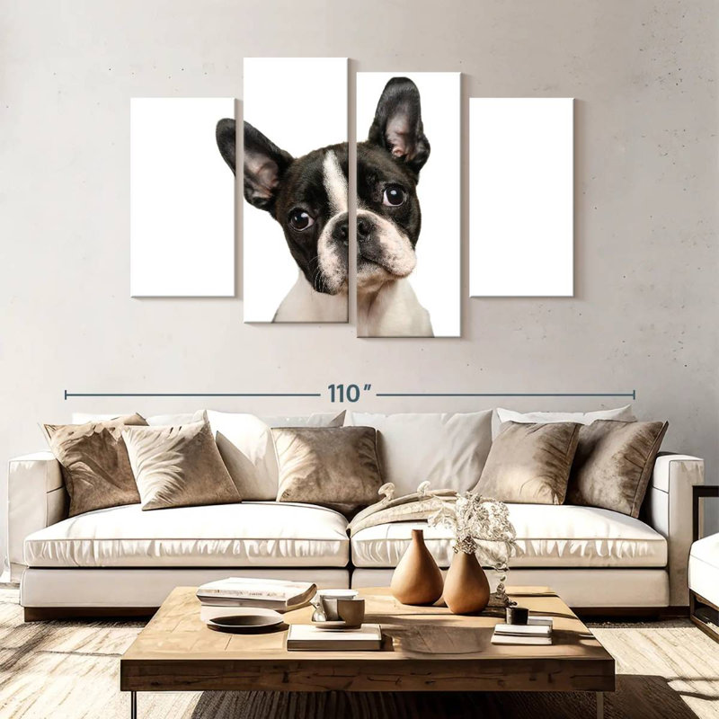 Brampt Little Boston Terrier, H 54 po x l 84 po