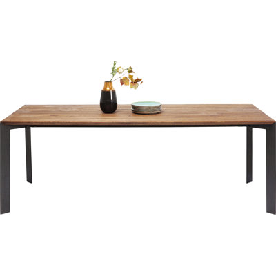 Table Phoenix 100x220cm