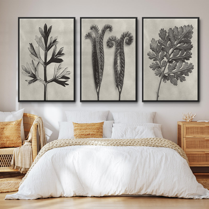 Blossfeldt Botanical I 3 pièces, Noir, H 27 po x l 54 po