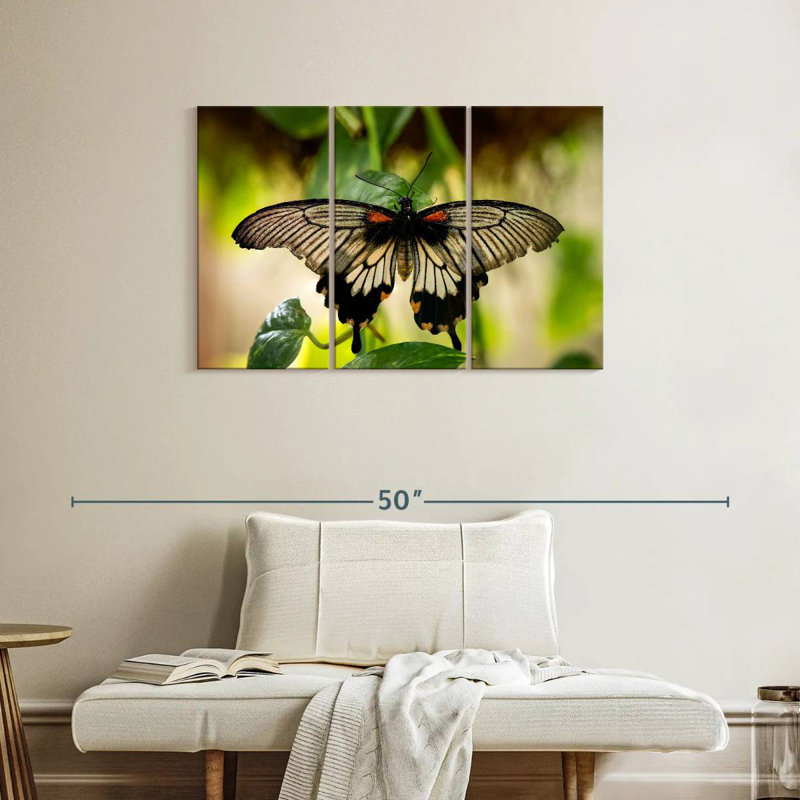 Brampt Monarch Butterfly, 24" H x 38" W