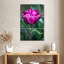 Harnek tulipe fuchsia-108549995
