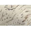 Hand-Knotted High-Quality Beige and Gold Area Rug