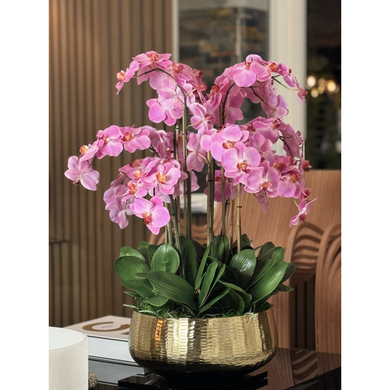 Roberi Orchid Arrangement in Planter, 38" H x 22" W x 22" D