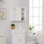 Imoh Wall Bathroom Cabinet
