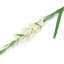 Silk Iris Arrangement-31151100-31151102