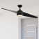 Annasophia 60'' Ceiling Fan with LED Lights