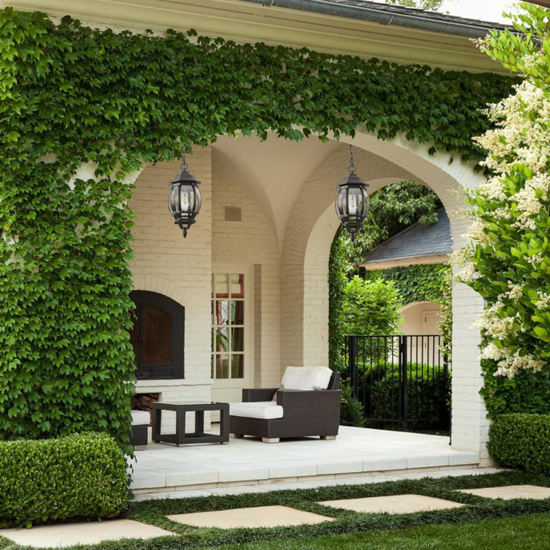 Black Outdoor Hanging Pendant Light with Adjustable Chain and Clear Glass
