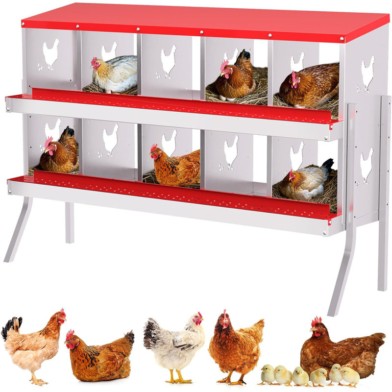 Boîte de nidification pour poulet 10 trous en métal avec support, Vert