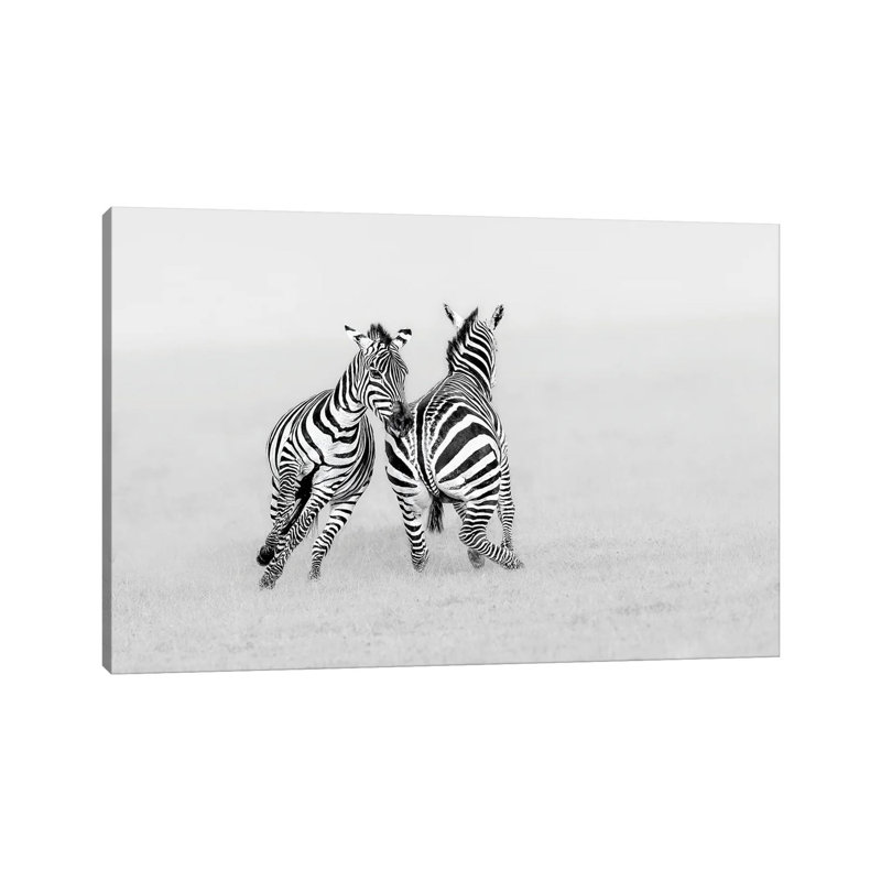 Playing Or Fighting? by Jun Zuo - Wrapped Canvas Print, 20.32 cm H x 30.48 cm W