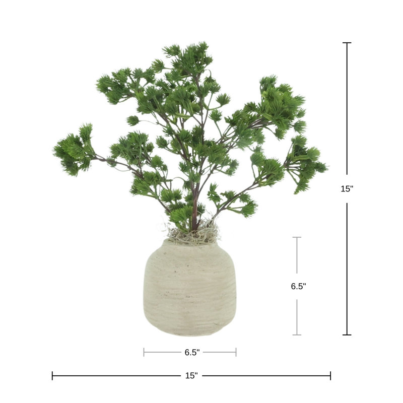 Pin Ming dans un vase Fiberstone, Light Grey