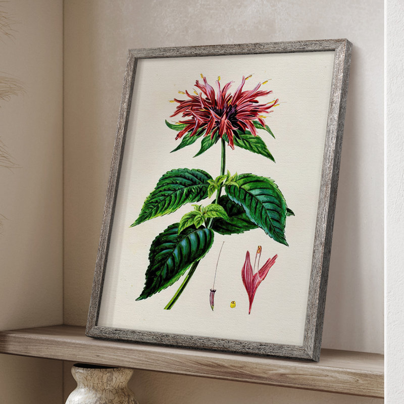 AntiqueFloralFolioI, reproduction encadrée - bois massif, H 15 po x l 12 po