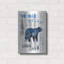 «The Blue Bear» par Lightbox Journal-33706343