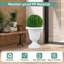 Jardinières vintage de 18 pouces de hauteur avec piédestal et trou de bonde pré-marqué -428355239-428355237
