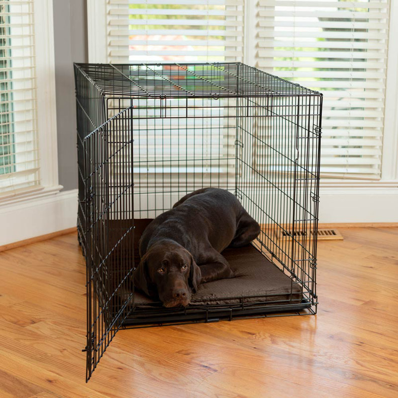 Matelas lavable 100% pour chien Snoozer, Fudge au chocolat, Moyen (l 35 po x P 22 po x H 2 po)