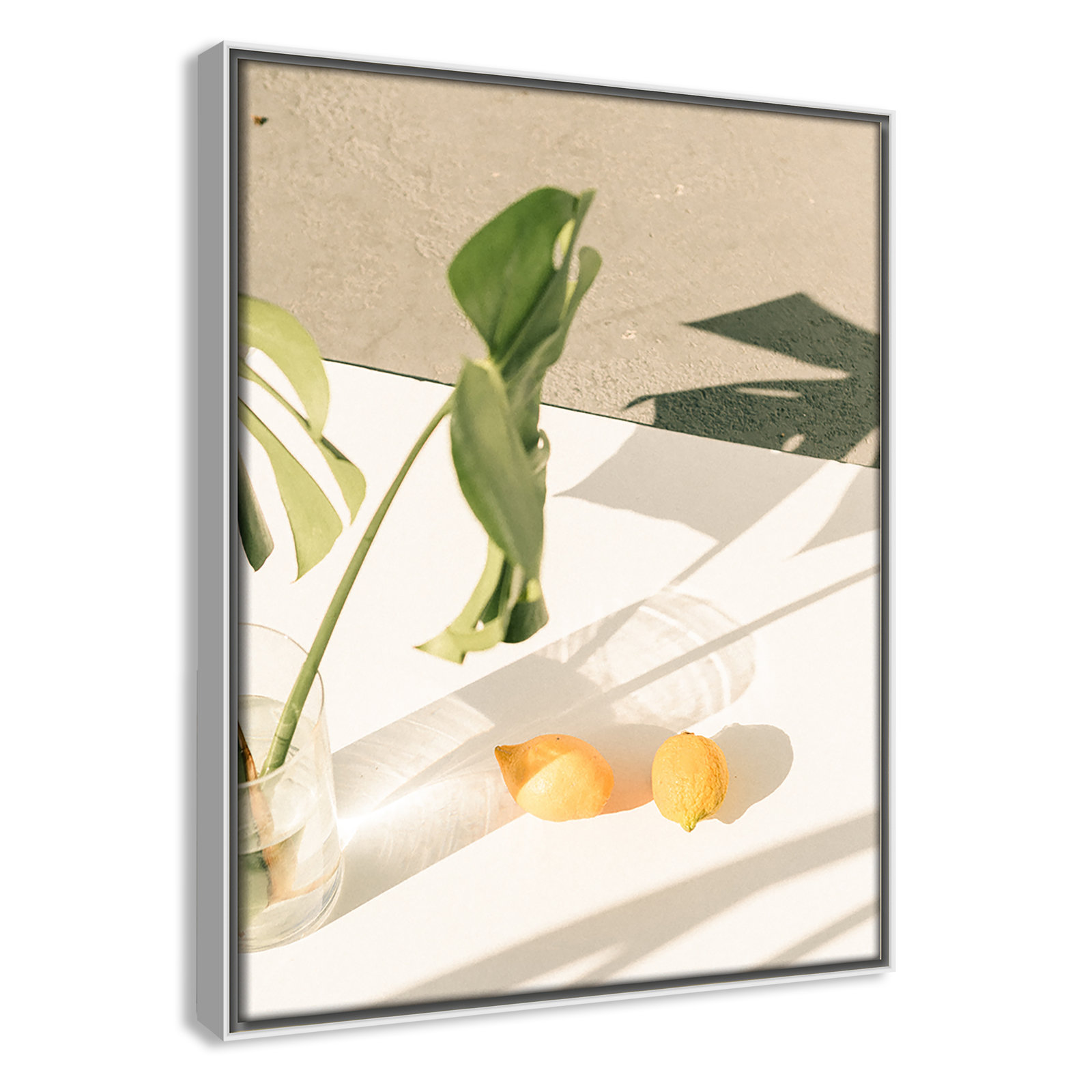 Citrus and Palms Print, 15.5'' H x 12.5'' W x 2'' D, White Framed