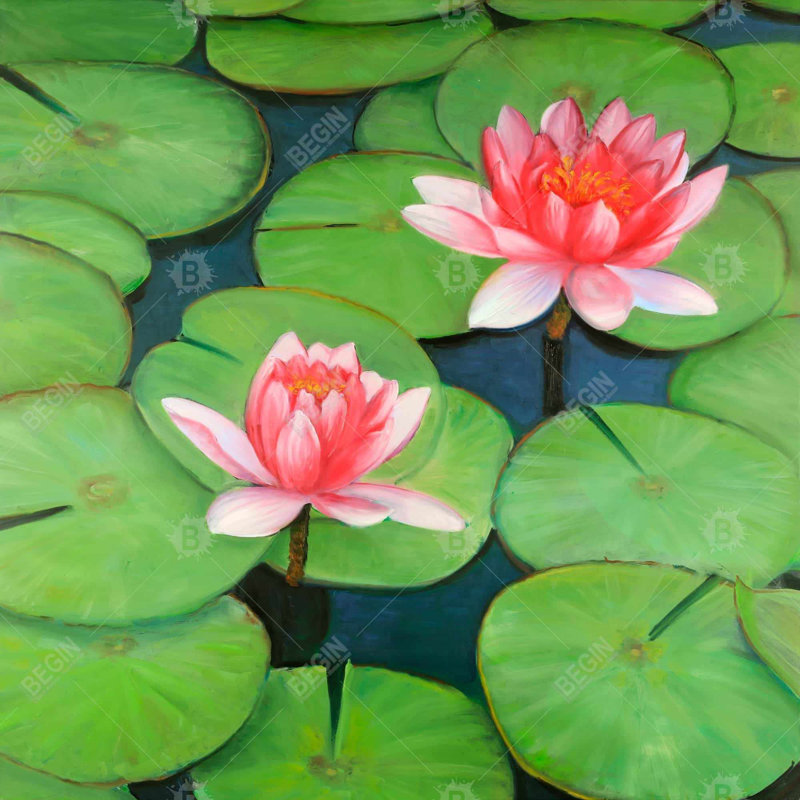 " Lotus Flowers In A Swamp "