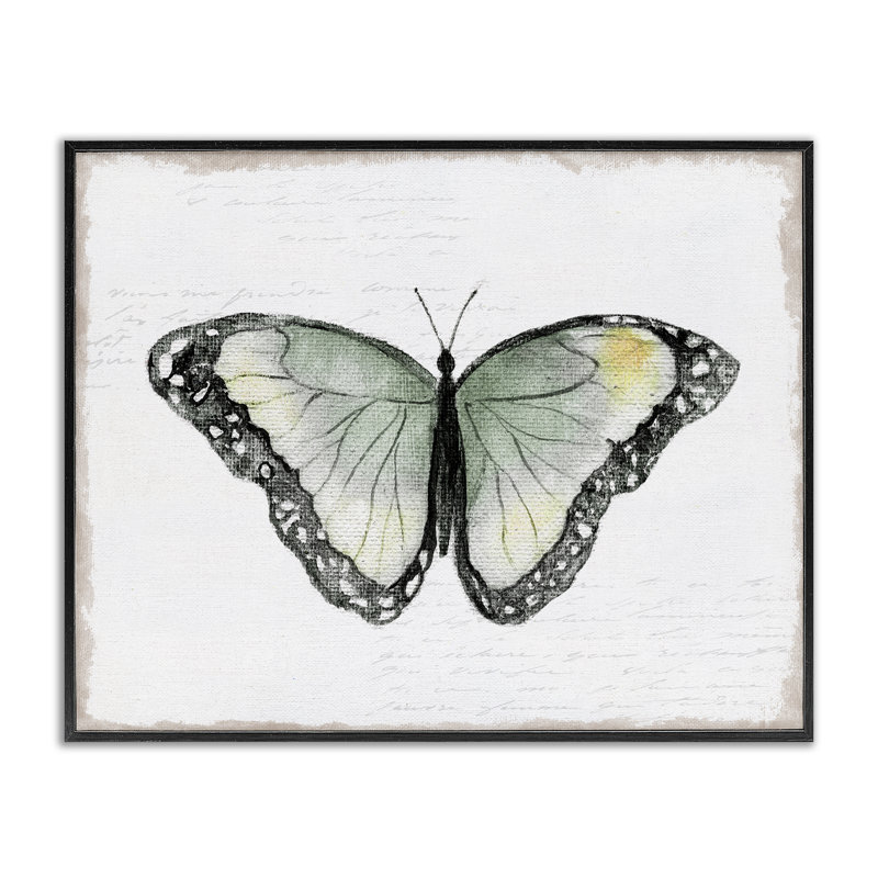 «Simple Butterfly Visage», estampe numérique par Janet Tava, Giclée encadrée noir minuit, H 16 po x l 20 po
