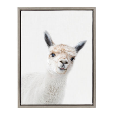 Studio Alpaca Print by Amy Peterson