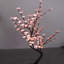 Bonsaïs illuminés et branches-22104822