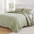 Greenland Home Fashions Vineyard Sage 2-Piece Twin Size Quilt Set 68x88 + 20x26-445108033-424953403
