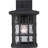 Cayman Outdoor Wall Lantern-87935822-87935819