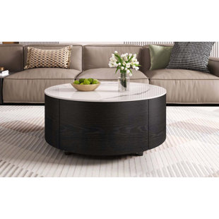 Modern Round Movable Coffee Table with Casters, 2 Drawers, Marble Pattern Sintered Stone Top, Black, 29.5"