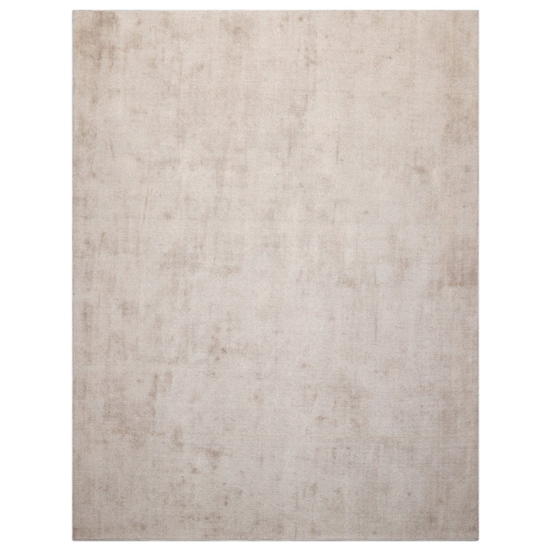 Tapis taupe touffeté à la main de style oriental texturé contemporain, Rectangle de 5 pi x 8 pi