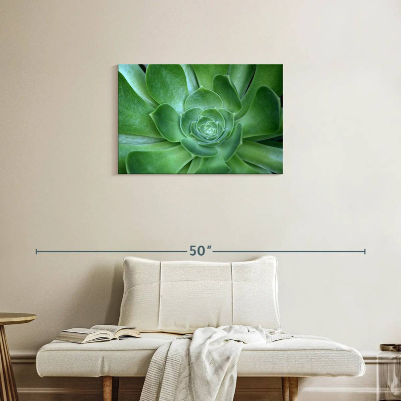 Harnek Single Succulant, 20" H x 30" W