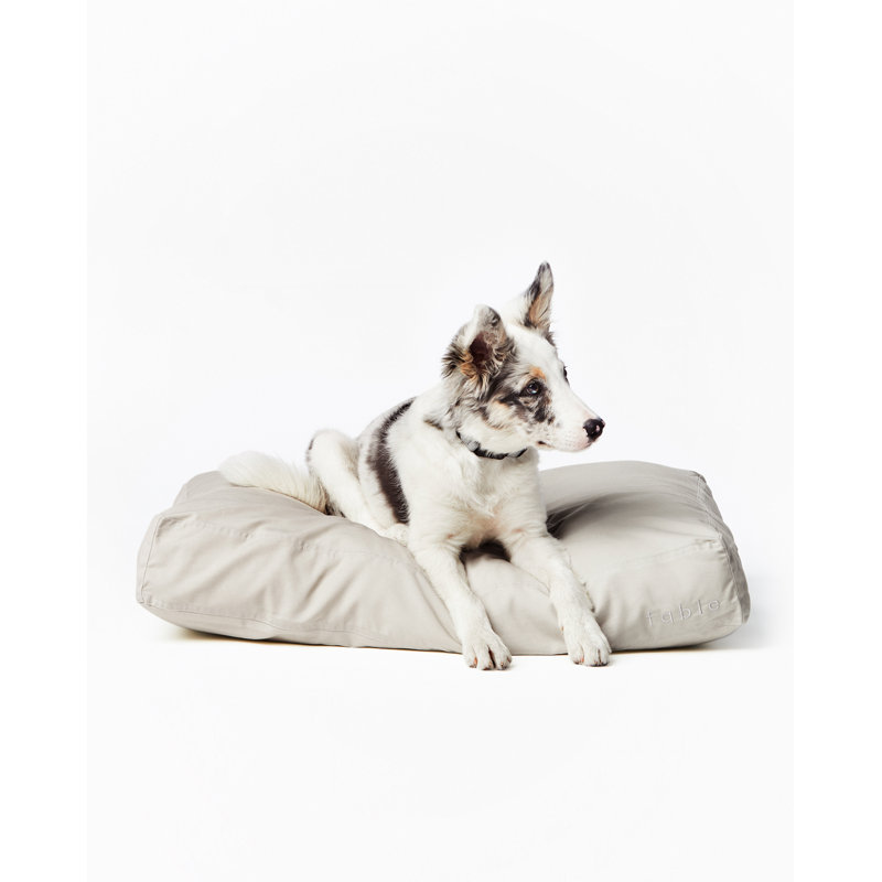 Orthopedic Pet Bed, Extra Large (30" W x 40" D x 5" H), Tofu
