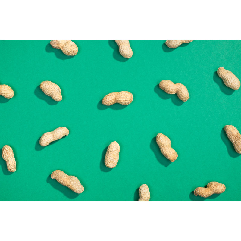 Peanut Nuts by Filistimlyanin - Wrapped Canvas Print, 30cm H x 46cm W