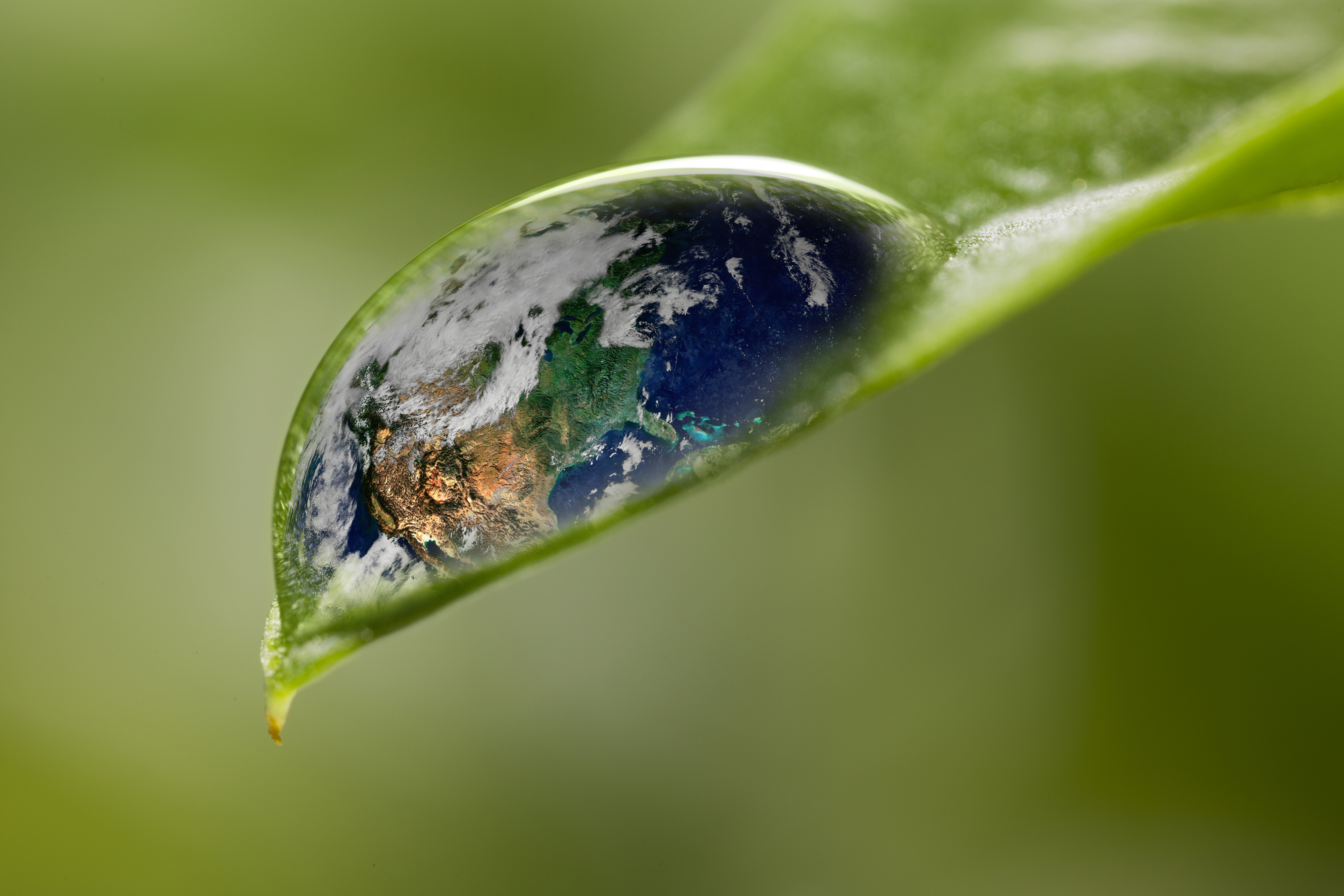 Ebern Designs Leaf with Rain Drop - Recovery Earth Concept by Bernie ...