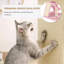 Condo 65 po plus grand avec tour d'arbre à chat pour chatons d'intérieur
