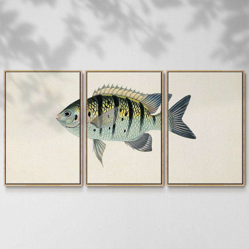 Collection de poissons tropicaux VI 3 pièces, H 24 po x l 48 po x P 2 po, Naturel