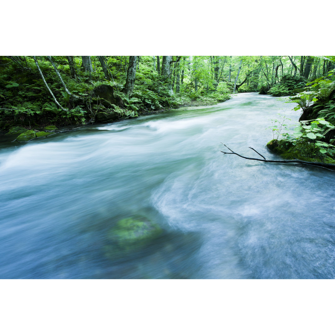 Leinwandbild Woodland Stream von Ooyoo