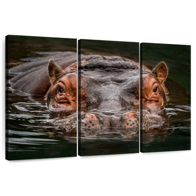 Hippopotame submergé Brampt