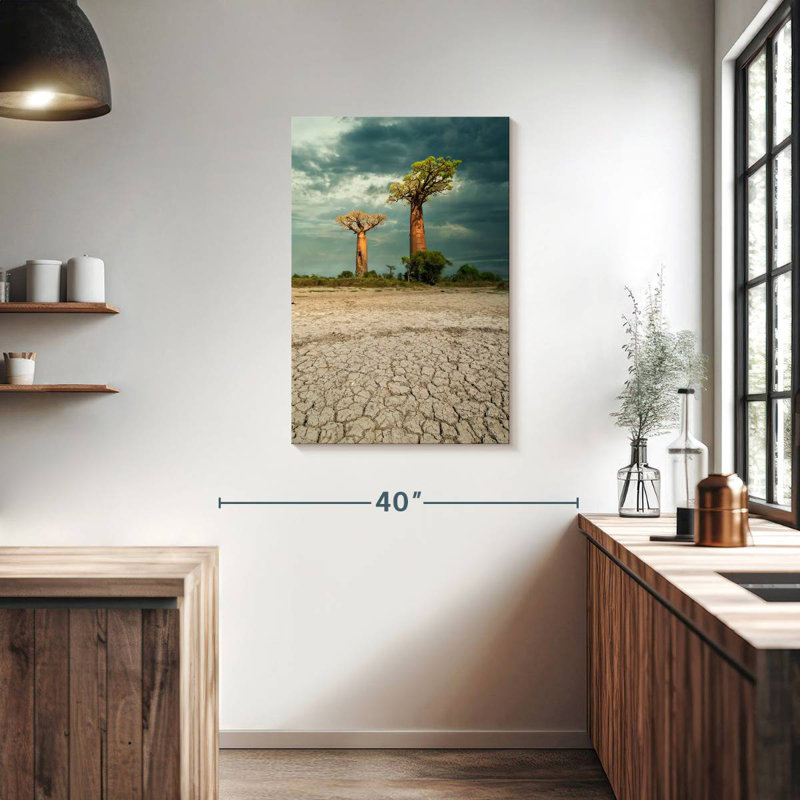 Nicci Western Madagascar Baobab Trees, 36" H x 24" W