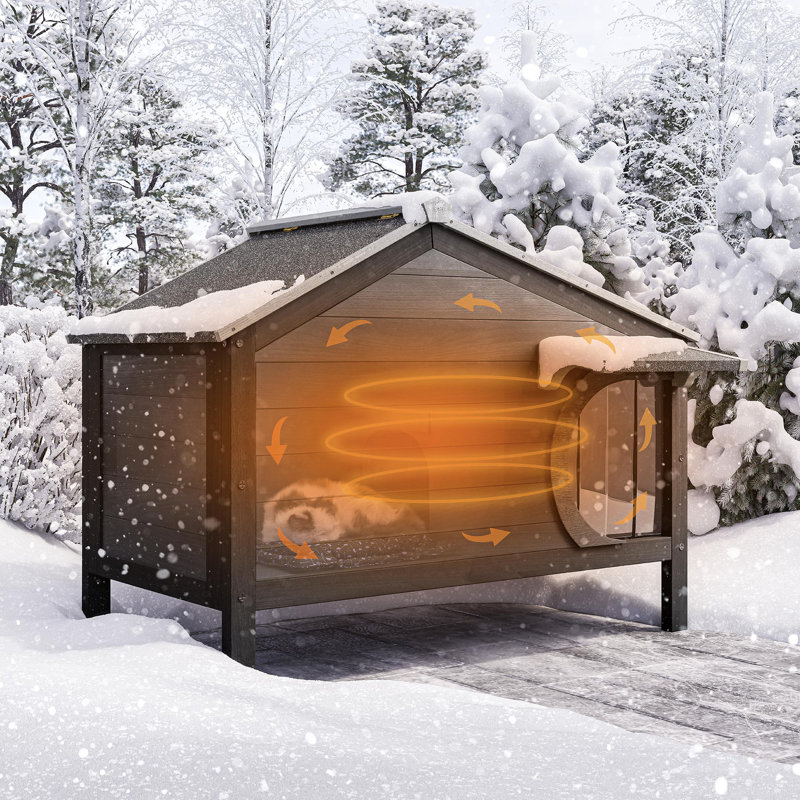 Maison de chat Dywane