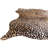 Square Ingalls Brown Rug