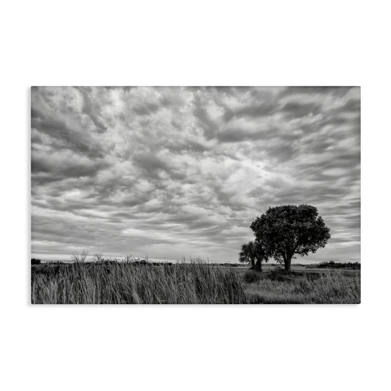 Toile de paysage nuageuse The Right Tree, design par Jon Evan, H 30 po x l 45 po