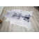 Wickersham Cowhide Indoor Rug